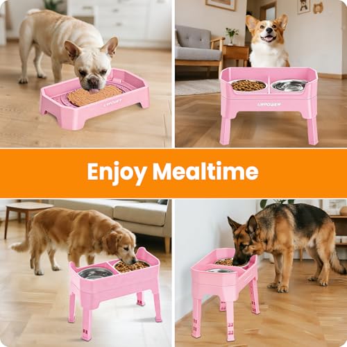 Elevated Dog Bowls (Pink / Large)