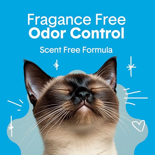 Boxie Premium Unscented Clumping Cat Litter 30+ Day Odor Control 28 lb (28 lb)