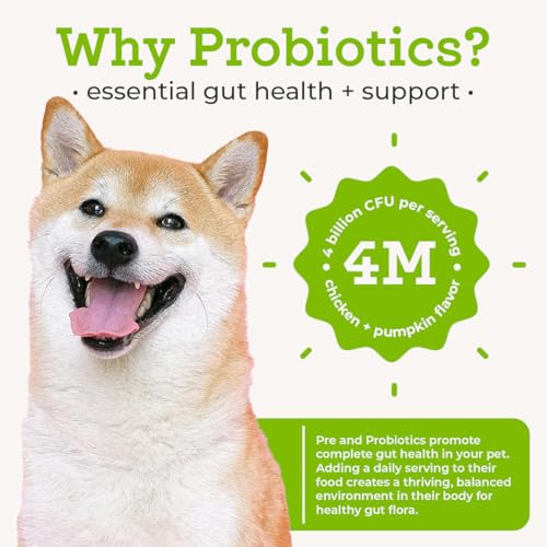 Dr. Joseph's VetPro Complete Advanced Pre & Probiotics Powder for Dogs
