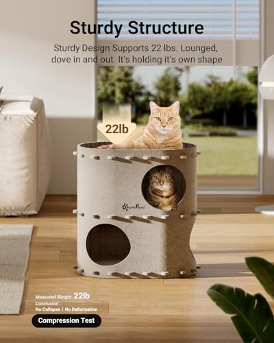 Cat House for Indoor Cats (Cream / Double)