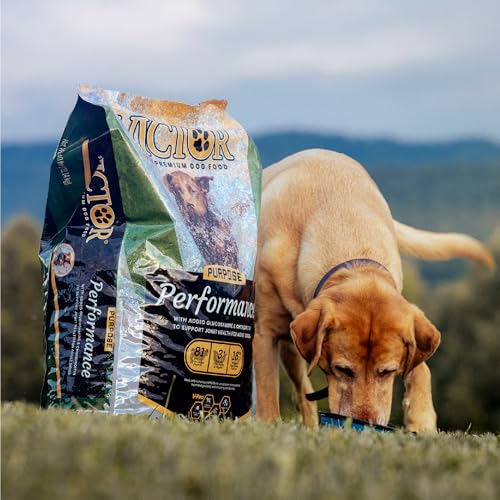 Performance Dry Dog Food (40 Pound (Pack of 1))