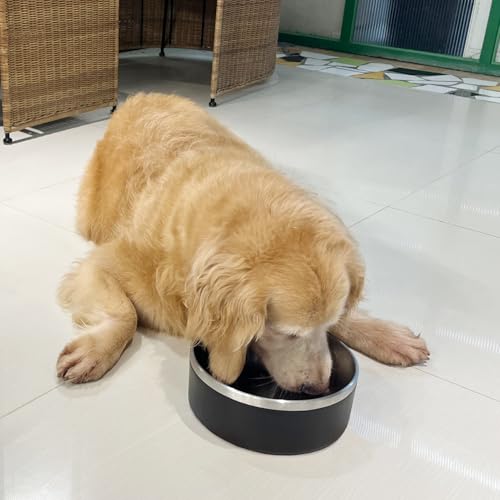 Stainless Steel Dog Bowl