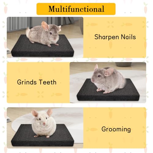 Chinchilla Scratch Foot Pads Natural Hamster Grinding Claw Mats 2Pcs (Black 2x Small)