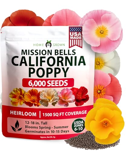 Mission Bells Poppy 6000 Flower Seeds Eschscholzia californica