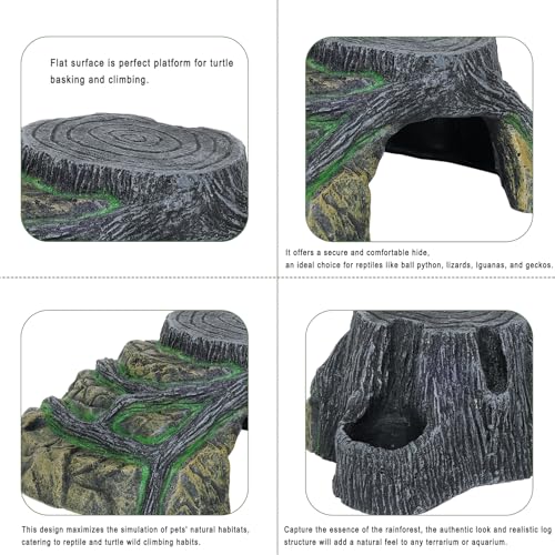 Gecko Tank Accessories (L-Flat Stump / Large)