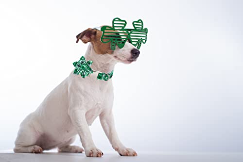 St Patricks Day Dog Collar with Flower (St.Patrick's Day(Flower) / X-Small (Pack of 1))