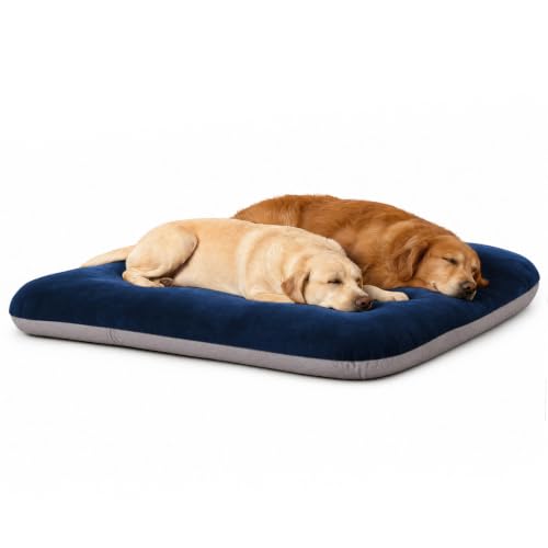 Orthopedic Extra Large Dog Bed 47 Inch (47.0"L x 39.0"W x 5.0"Th / Blue)