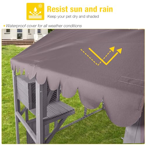 Large Catio Outdoor Cat Enclosure Window Design for 6
