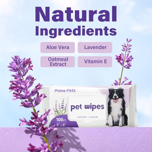 Dog Wipes for Paws and Butt (100 Count (Pack of 1))