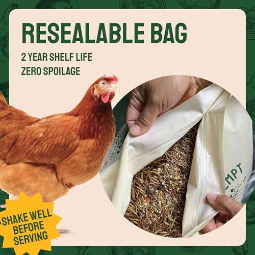 10lb Dried Mealworms with Digestive Spice Mix for Chickens (10 Pound (Pack of 1))