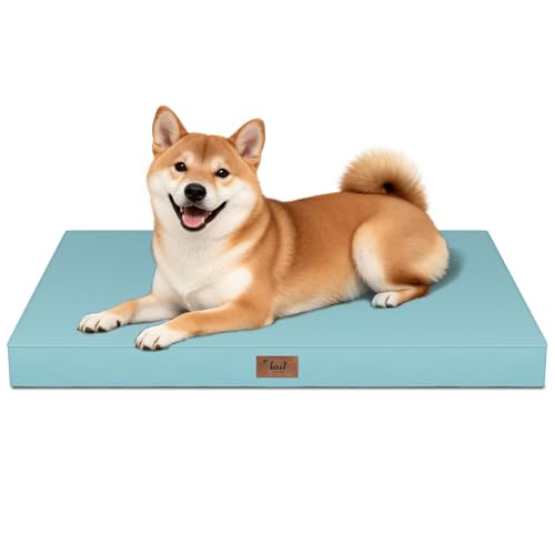 Outdoor Waterproof Orthopedic Dog Bed for Medium Size Dogs (Light Blue / 35.0"L x 22.0"W x 3.0"Th)