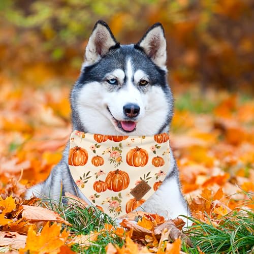 Fall Dog Bandana Pumpkin Floral Pet Scarf Double