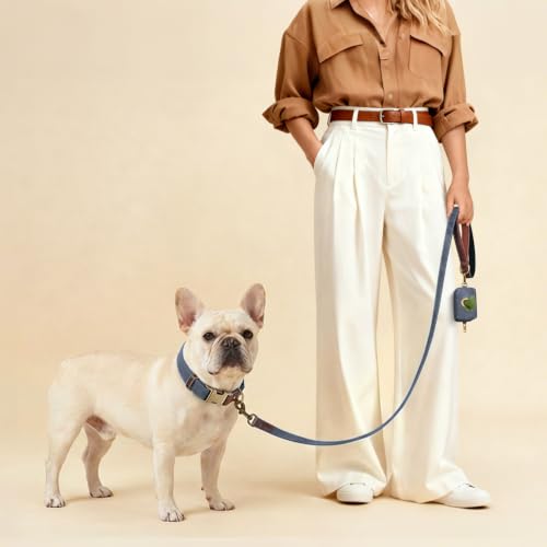 PU Leather Dog Collar for Medium Dogs (Blue / M: Neck 14-19", Width ¾")