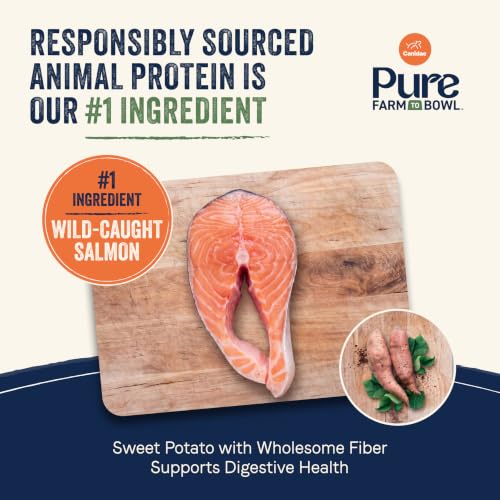 Pure Farm to Bowl (22 Pound (Pack of 1))
