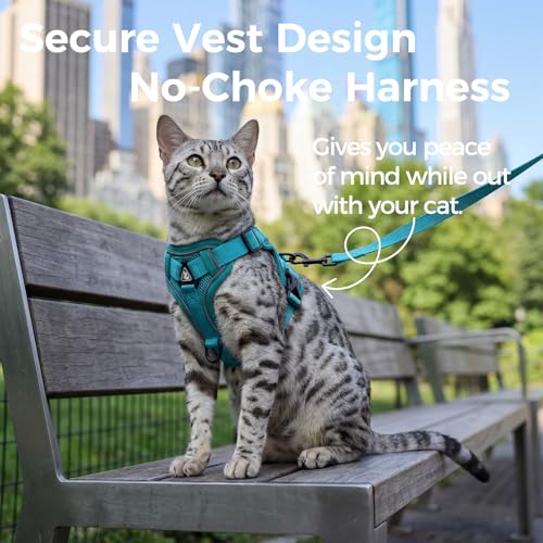 Cat Harness and Leash Set (Turquoise / Large)