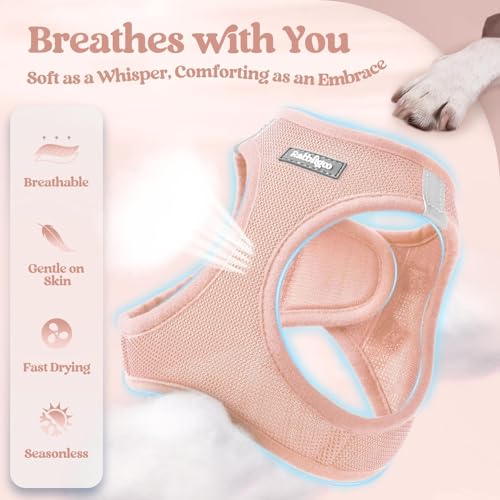 Dog Harness Medium Sized and Leash Set (Pink / M (chest: 16 - 18.5"))