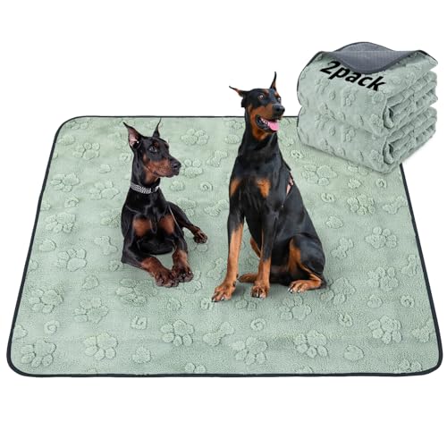 2 Pack Extra Large Washable Pee Pads for Dogs 72"x72" (Green Dog Element / 72"x72"(Pack of 2))