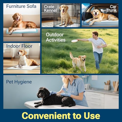 Puppy Pads Dog Training Pee Pads (Blue / 22"x22" 120 CT)