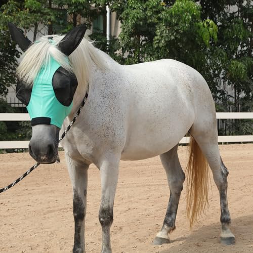 Stretchy Horse Fly Mask with Ears (Green / Cob)