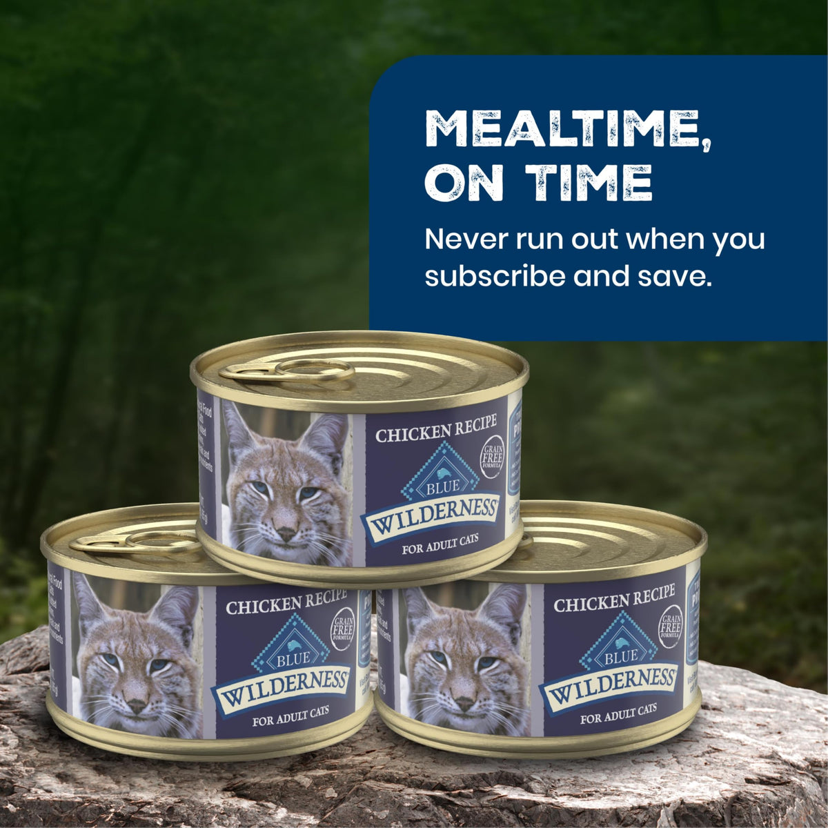 Wilderness Chicken Paté Adult Wet Cat Food (5.5 Ounce (Pack of 24))