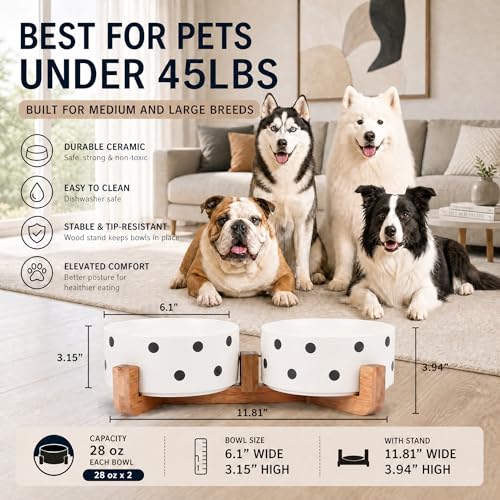 Dog Bowls Ceramic (Black Dot / 850ML*2)