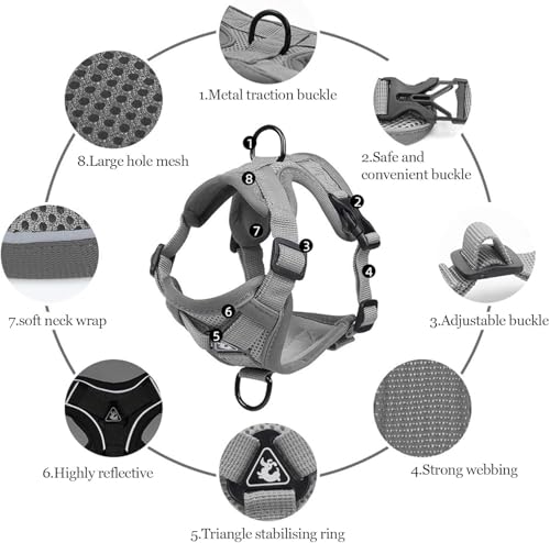 cat Chest Harness and Leash (grey / XL:16.5-22.04lb)