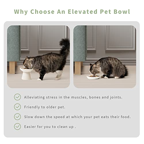 2 Pack Elevated Ceramic Cat Bowls Extra Wide for Food & Water (White)