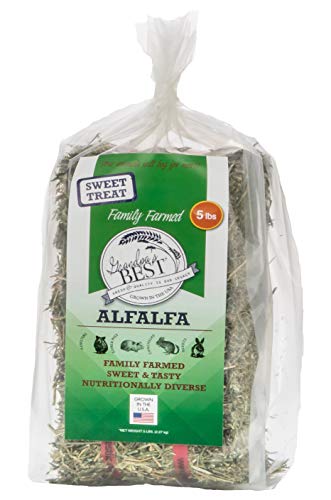 Alfalfa Hay 5 lbs (5 Pound (Pack of 1))