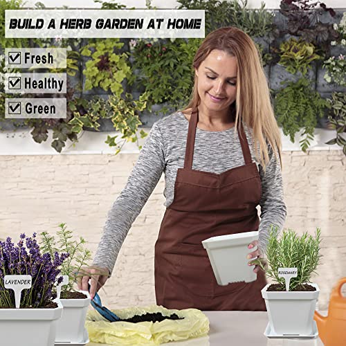 10 Herb Seeds Garden Starter Grow Kit with White Pots (White)