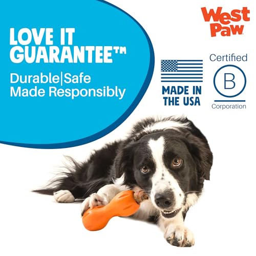Qwizl Durable Zogoflex Dog Puzzle Toy for Mental Stimulation (Large / Tangerine)