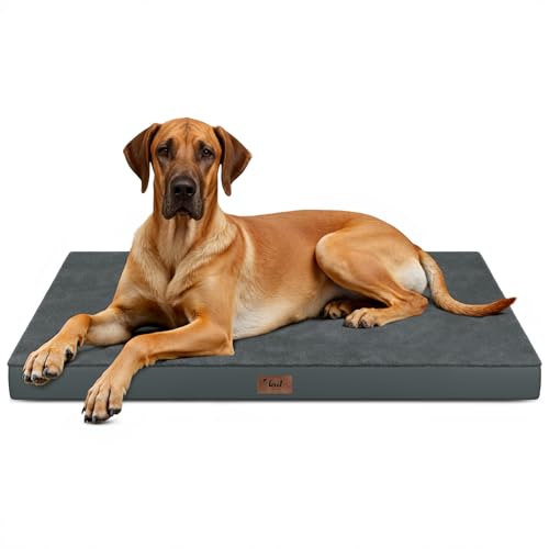 Jumbo Waterproof Orthopedic Dog Bed for Extra Large Dogs (Dark Gray / 53.0"L x 36.0"W x 4.0"Th)