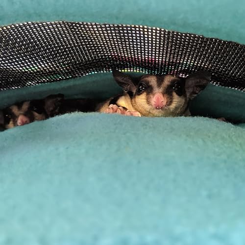 2 Pack Carry Pouch for Small Animals (2 Pack (Black))