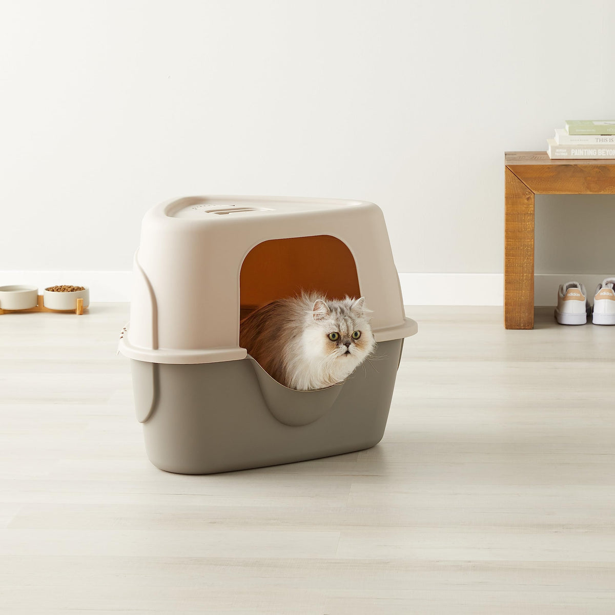 Cat Litter Box with Lid