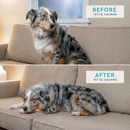 Advanced Calming Support Chews for Dogs (Advanced Strength 60 Count)