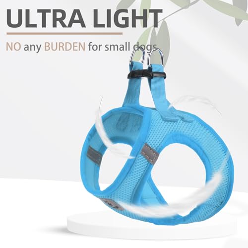 Dog Harness Collar and Leash Set No Pull for Small Medium Sized (Solid LightBlue / S (CHEST 14.5"-16"))