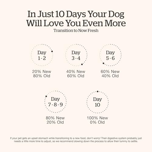 Small Breed Adult Dry Dog Food (12 Pound (Pack of 1))