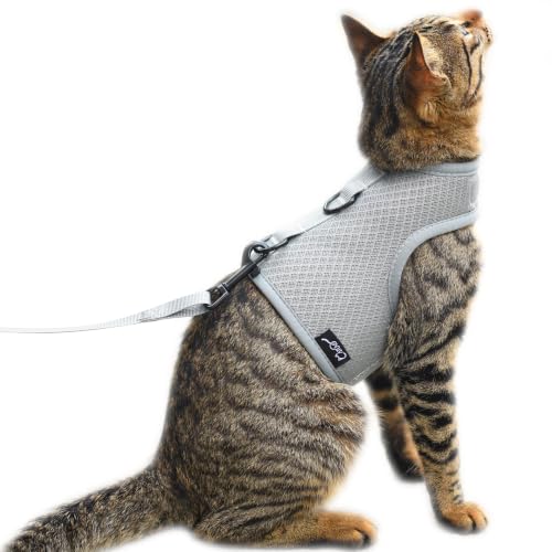 Cat Harness and Leash Set for Walking Escape Proof (Grey / Xs 2-4 lbs)