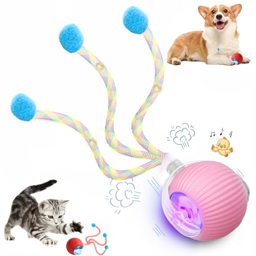 Speed 2.0 Tail Interactive Cat Toys for Indoor Cats (New Pink)
