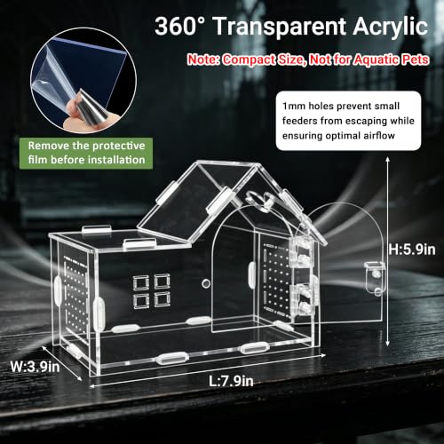 Acrylic Jumping Spider Enclosure Kit 23PCS with Decor (green-Gothic)