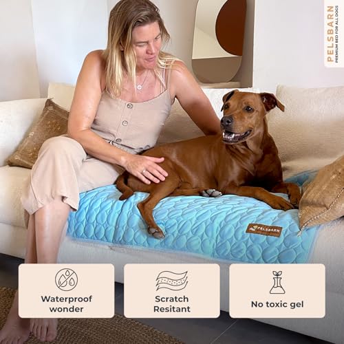 Dog Cooling Mat (Light Blue / Large)