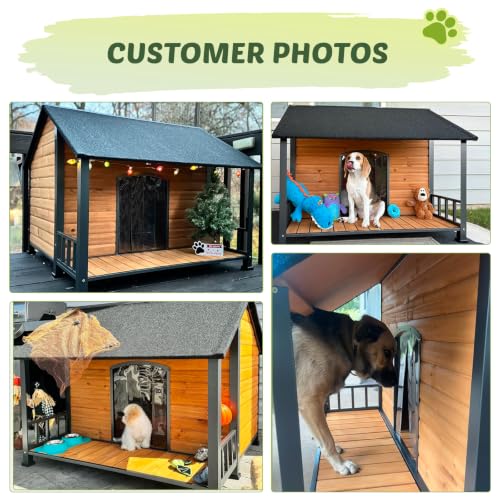 Large Heated Dog House Outdoor for Midum