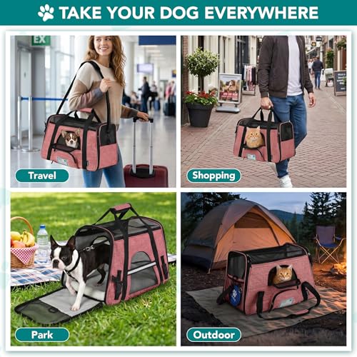 Airline Approved Pet Carrier Cat Small Dogs (Light Red / 19.5"L x 10.2"W x 12.0"H)