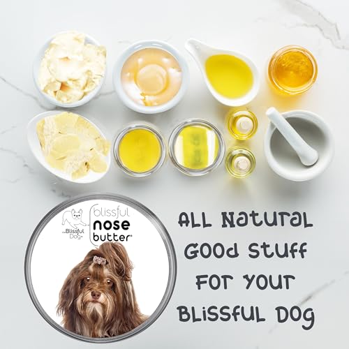 Havanese Unscented Nose Butter (Havanese / 2 Ounce)