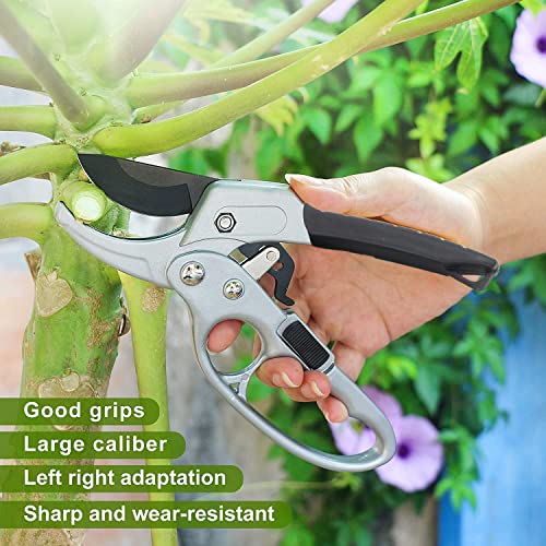 Premium Germany Pruning Shears (Black)