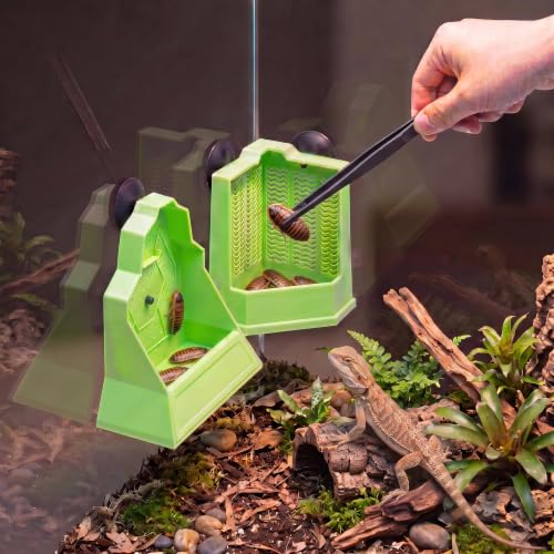 Reptile Anti Escape Feeding Bowl (Wall-Mounted Feeding Bowl / Small)