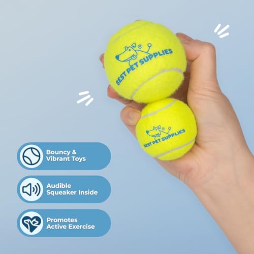 Interactive Squeaky Dog Chew Toy (Tennis (Yellow) / Medium)