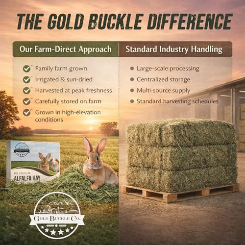 Premium Alfalfa Hay for Rabbits & Guinea Pigs (40 Pound (Pack of 1))