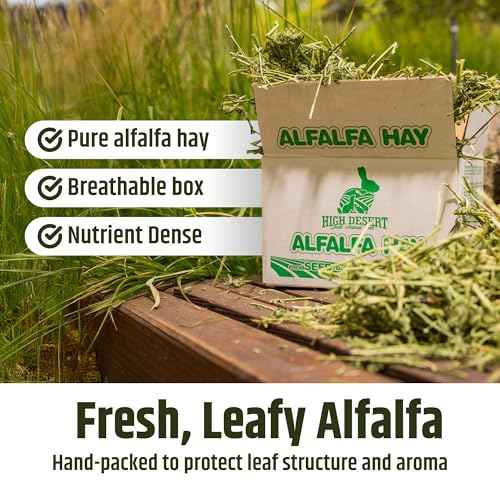 Alfalfa Hay for Young Rabbits and Guinea Pigs (10 Pound (Pack of 1))