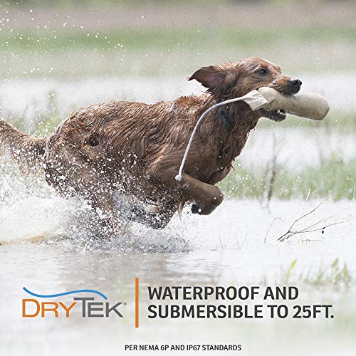 SportHunter 825X 2 Dog Remote Trainer (SportHunter 825X - 2 Collar)