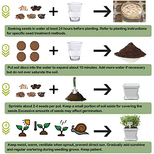 10 Herb Seeds Garden Starter Grow Kit with White Pots (White)